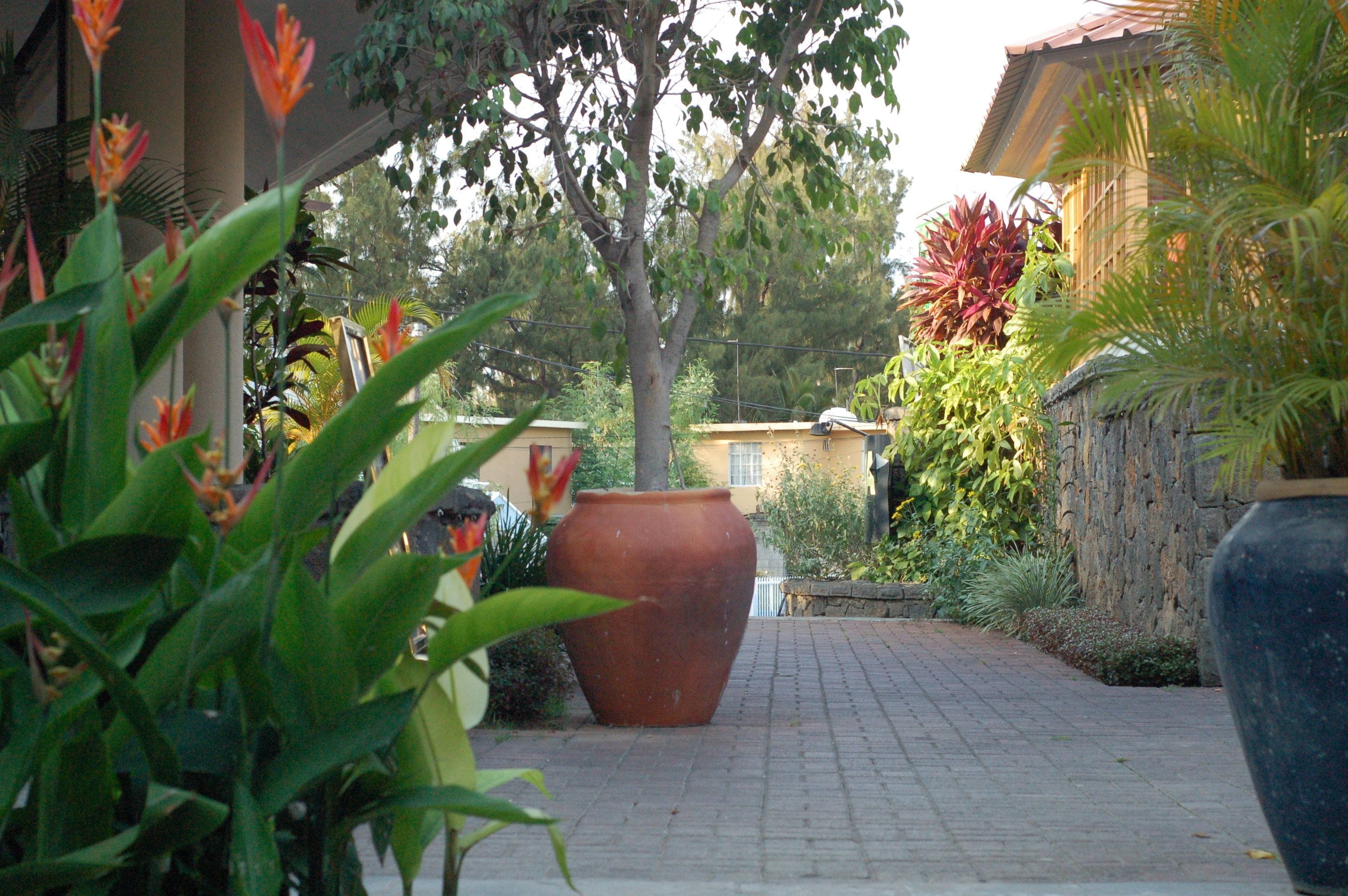 Photo - Aanari Hotel & Spa- Mauritius