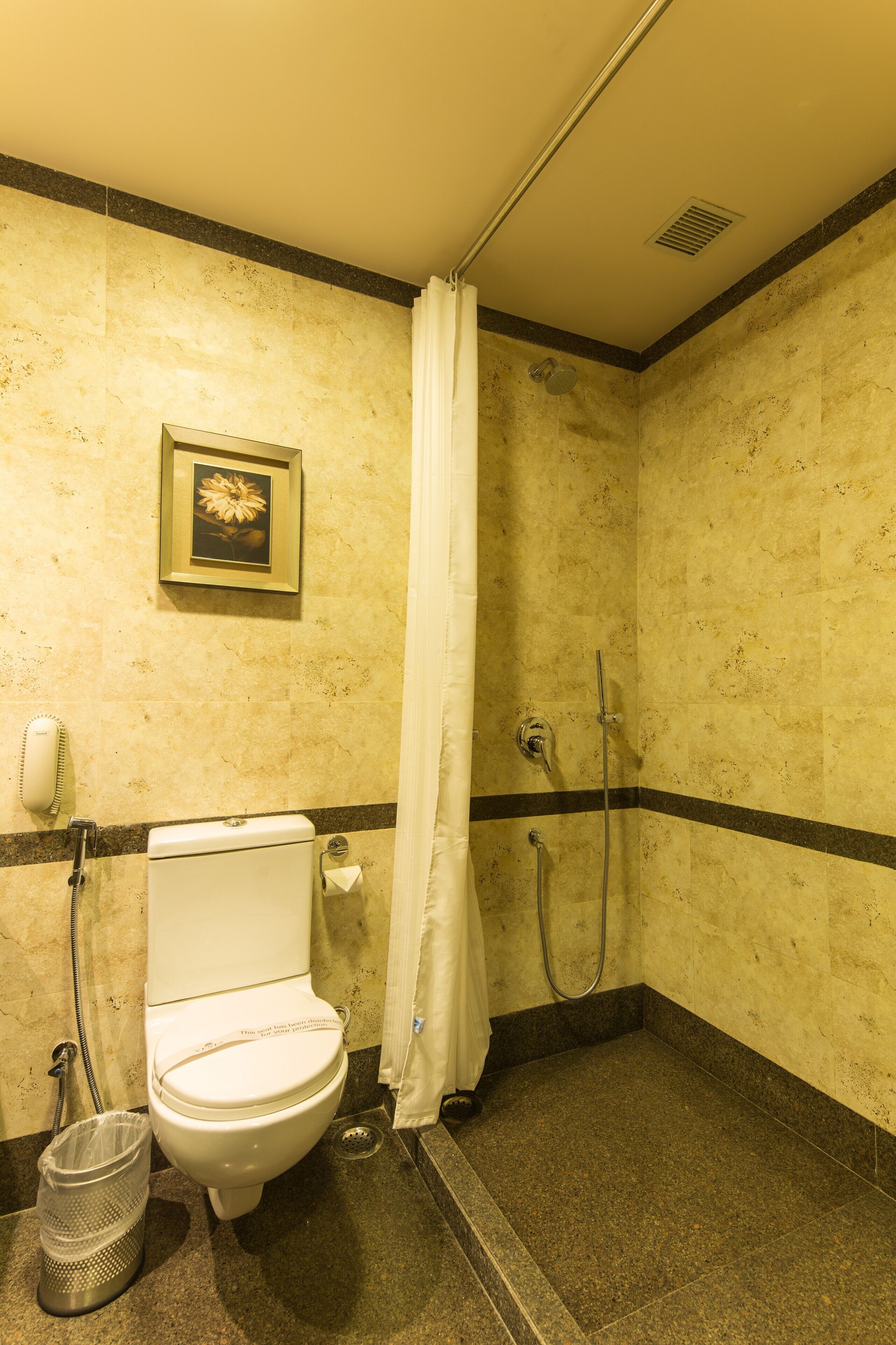 A bathroom with a toilet, shower, and a framed picture on the wall.