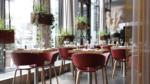 Ein Restaurant mit roten Stühlen, Holztischen, hängenden Pflanzen und Blick durch große Fenster.