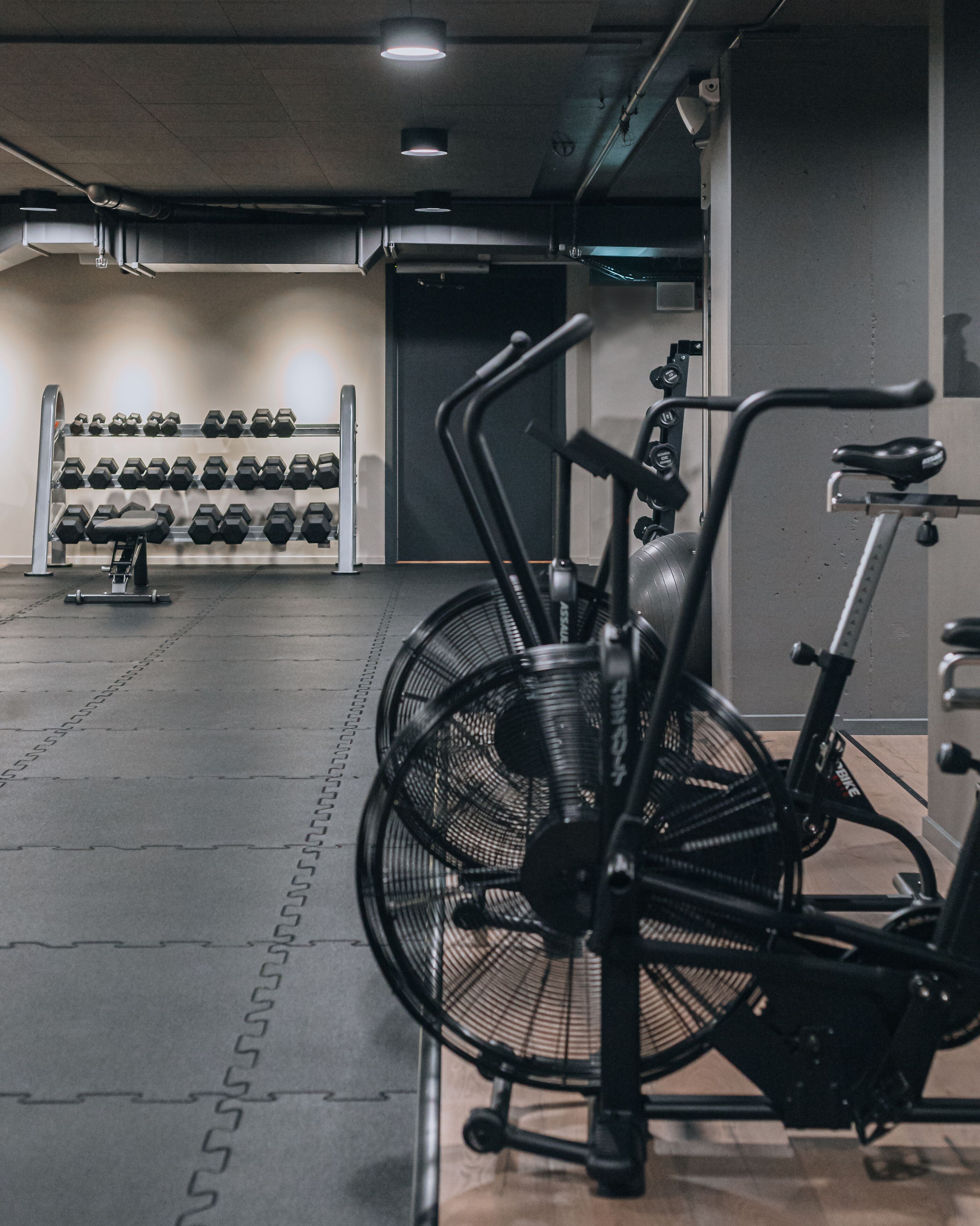 Ett gym med träningsutrustning, inklusive en motionscykel och hantlar.