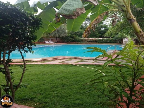 A swimming pool surrounded by lush greenery and a well-maintained lawn.