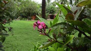 Un jardín exuberante con diversas plantas y un pequeño estanque.