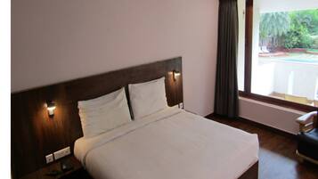 Deluxe Room | View from room