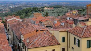 A narrow street with terracotta-tiled buildings, some with green shutters, and a view of a distant town and hills.