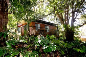 Standard-Suite, 1 Schlafzimmer, Nichtraucher, Küche | Kostenloses WLAN