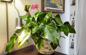 Interior - Hotel Kennedy (Levis)