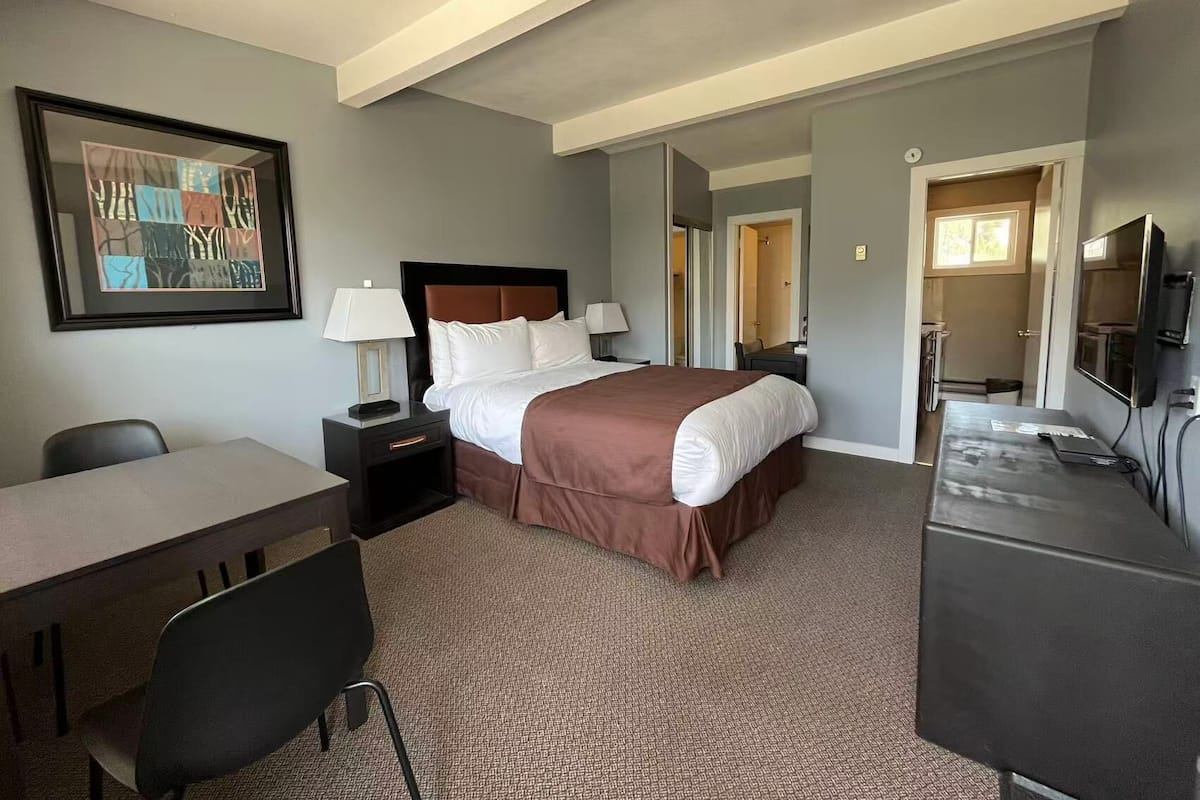 Una habitación de hotel con una cama grande, un escritorio, una silla, un televisor y un cuadro en la pared.