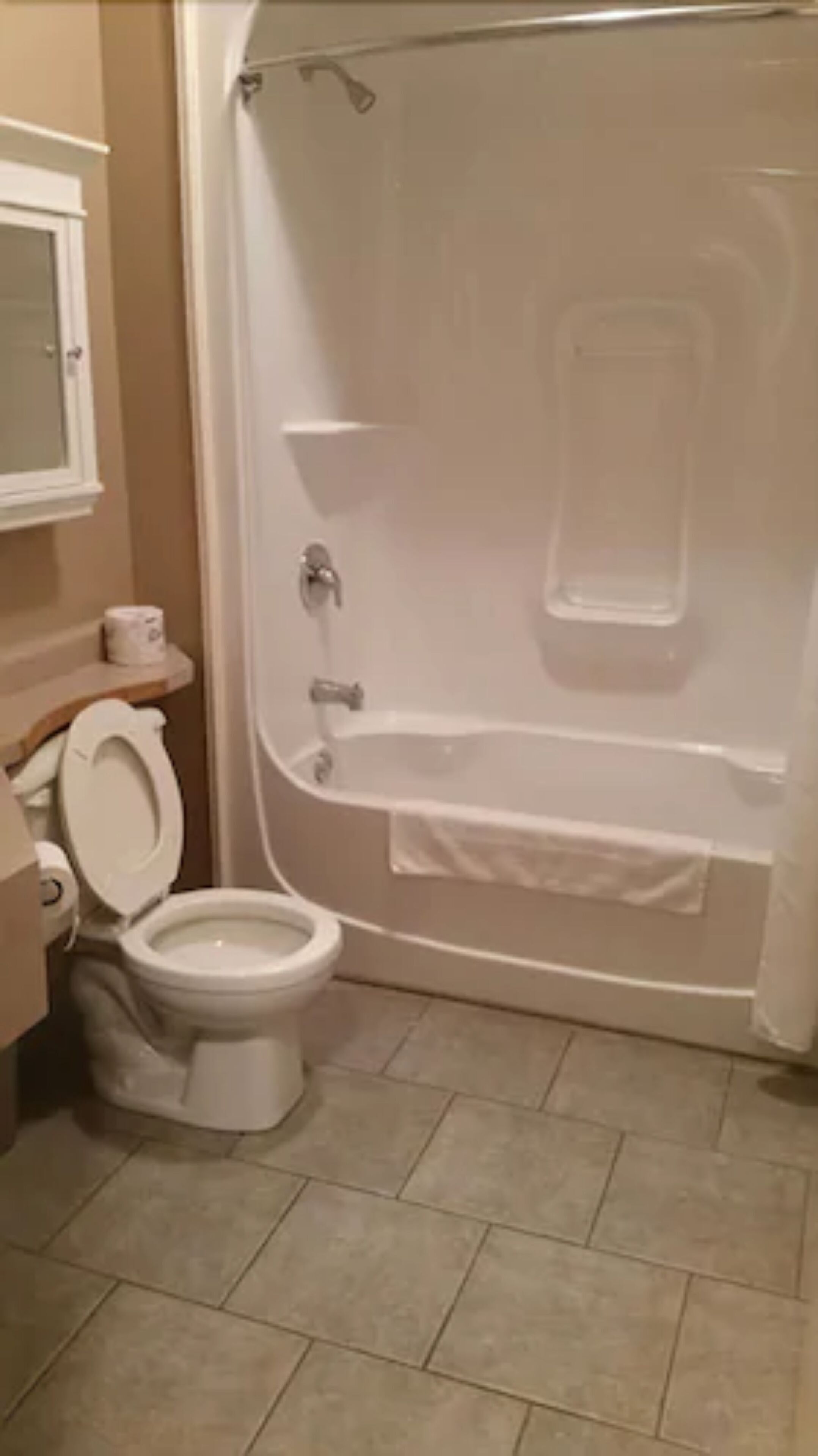 A bathroom with a toilet, a bathtub, and a shower area.