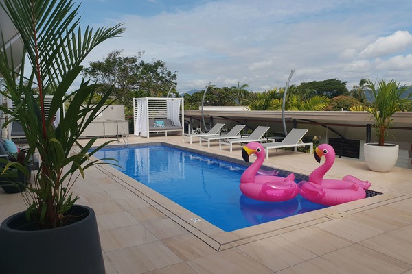 Outdoor pool, sun loungers