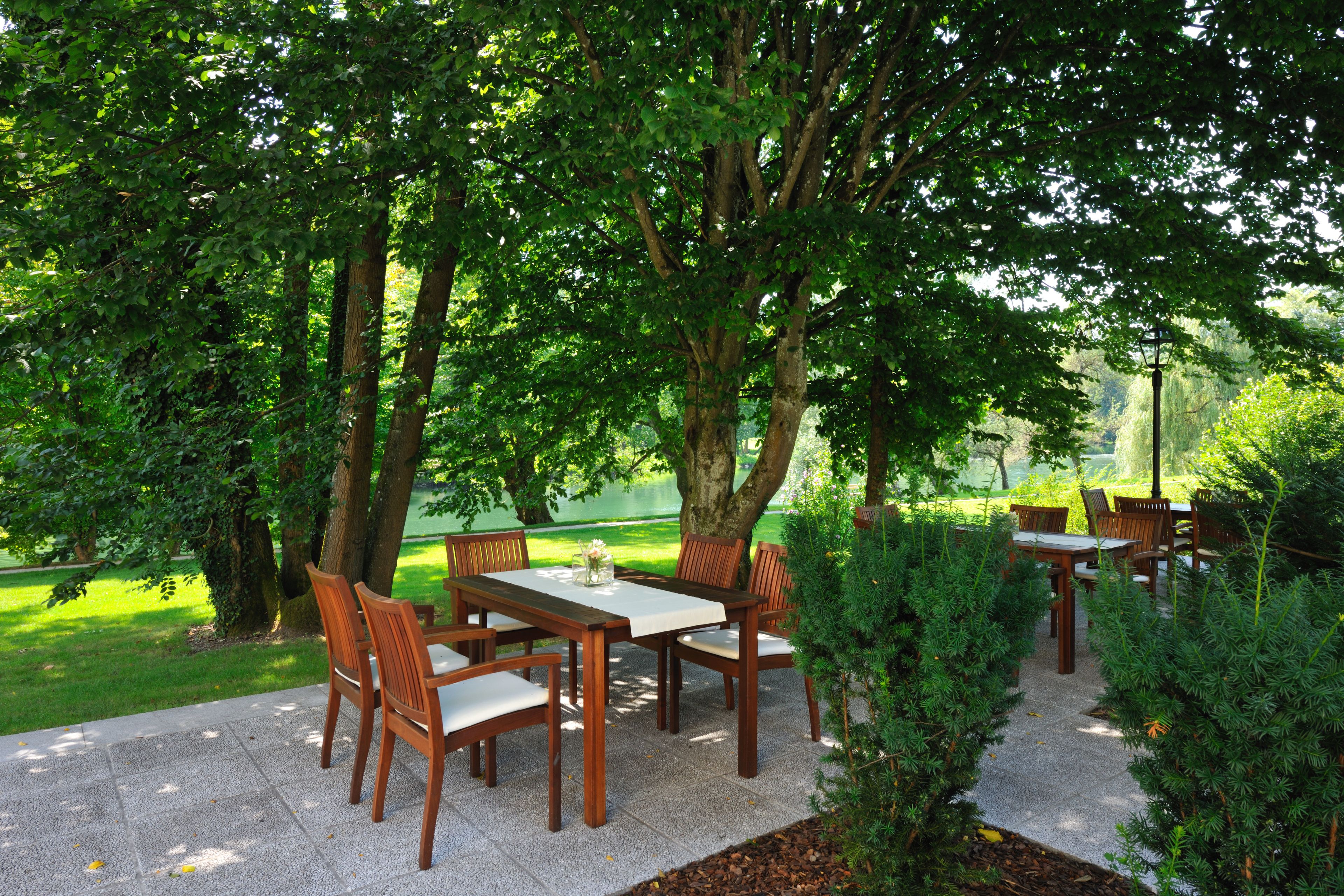 Un patio al aire libre con mesas y sillas de madera, rodeado de árboles y follaje.