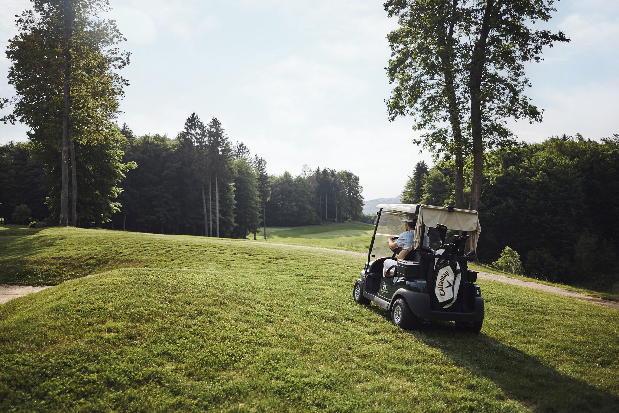 Ein Golfmobil steht auf einer gepflegten Rasenfläche mit Bäumen im Hintergrund.