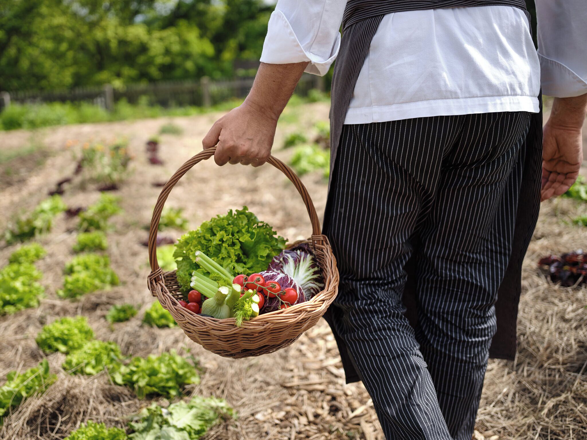 A person holding a basket of vegetables.