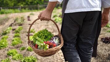 A person holding a basket of vegetables.
