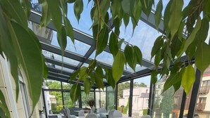 An outdoor seating area with tables and chairs, surrounded by glass walls and greenery. - Moris Boutique Beach Hotel (Gdansk)