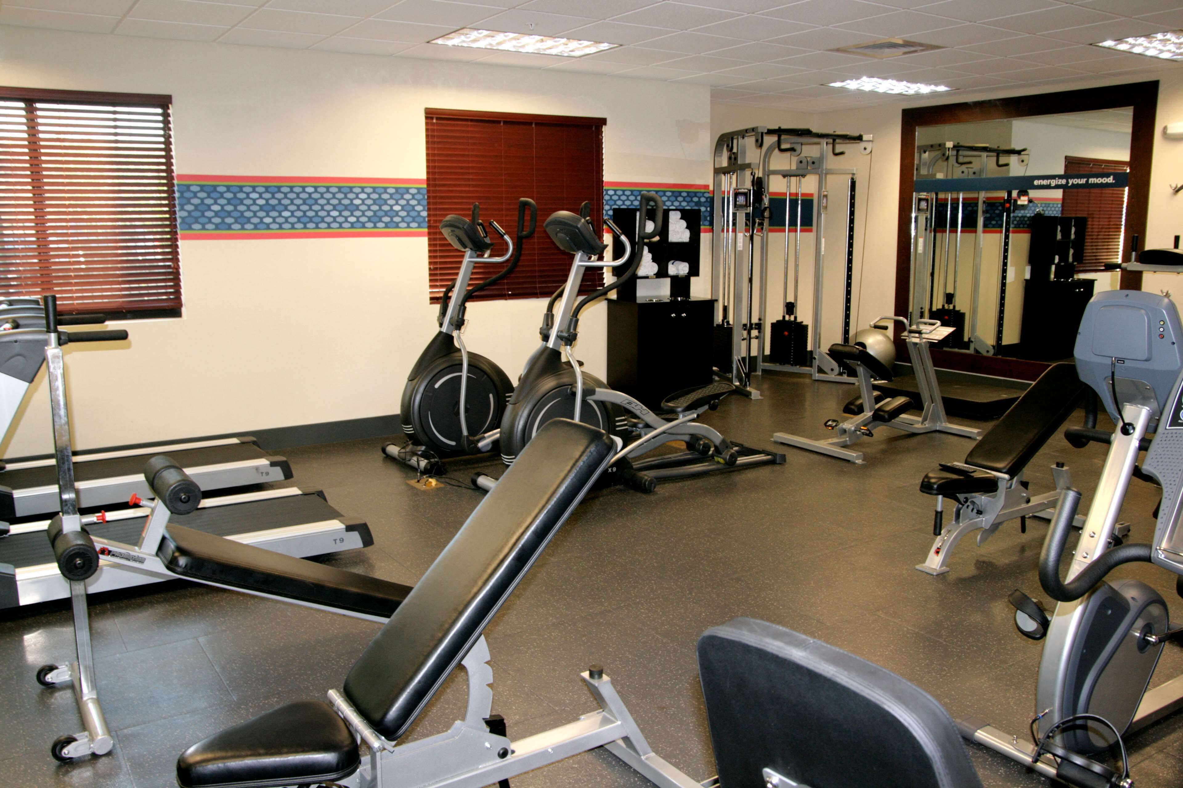 A gym with various exercise equipment including treadmills, a bench press, and weight machines.