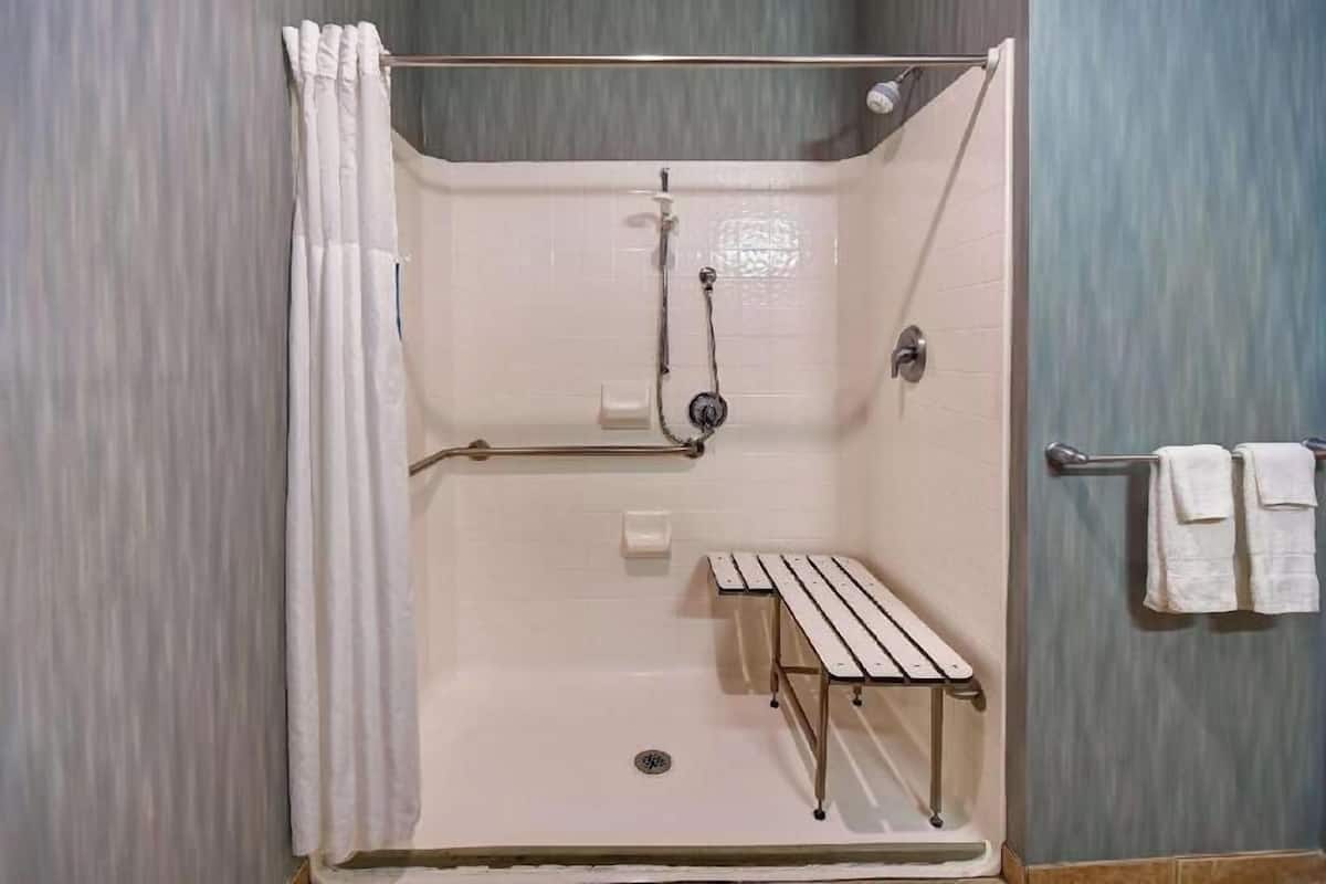 Bathroom | Combined shower/tub, free toiletries, hair dryer, towels