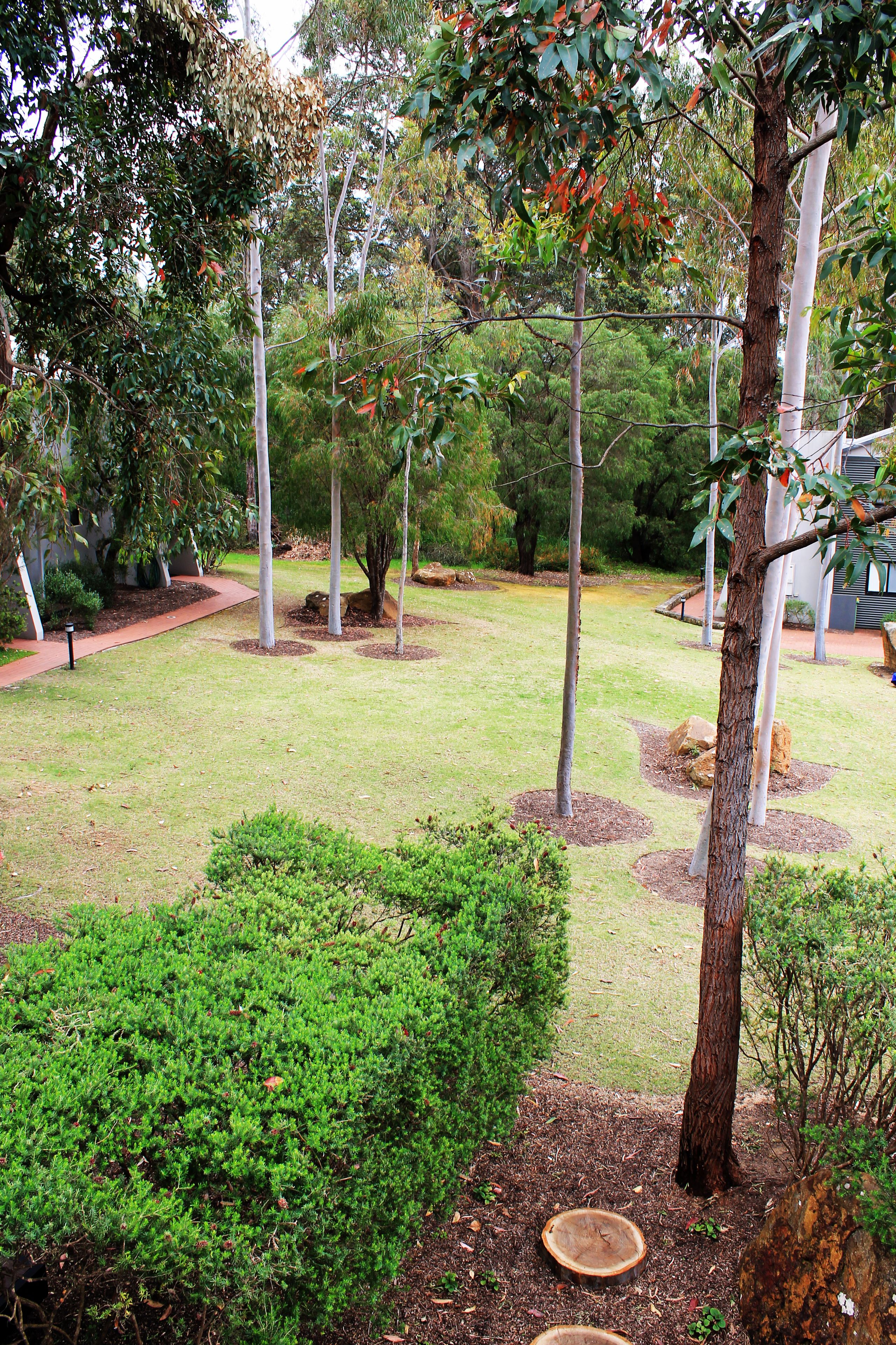 Un giardino curato con diversi alberi, arbusti e un sentiero ben definito.