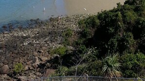 鄰近海灘、海灘浴巾