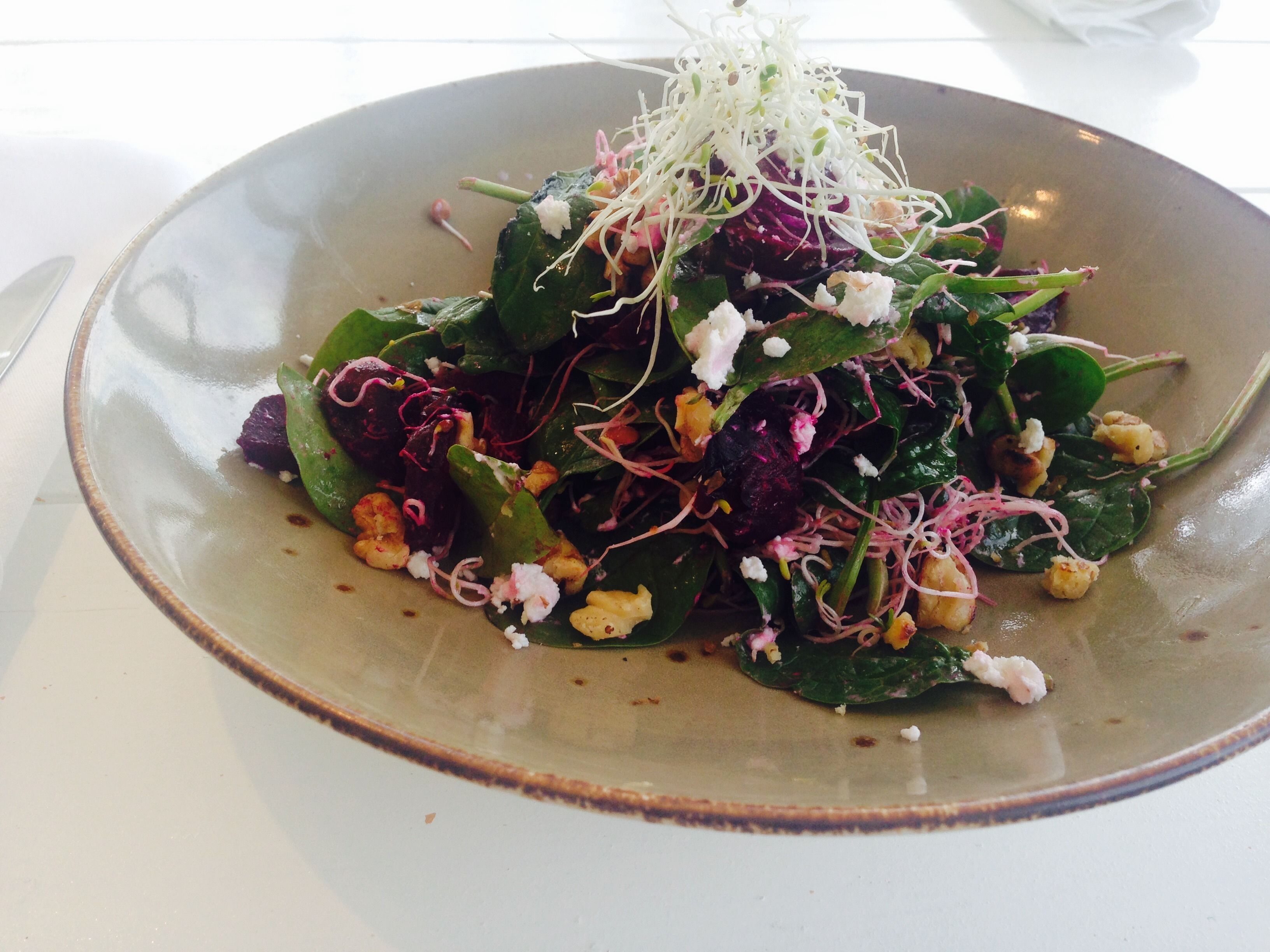 A plate of mixed greens and vegetables with sprouts and croutons.