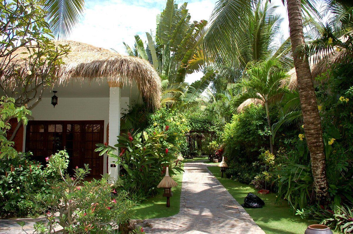 Un sendero en un jardín tropical que lleva a una edificación de techo de paja y puerta de madera.