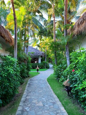 Garden view
