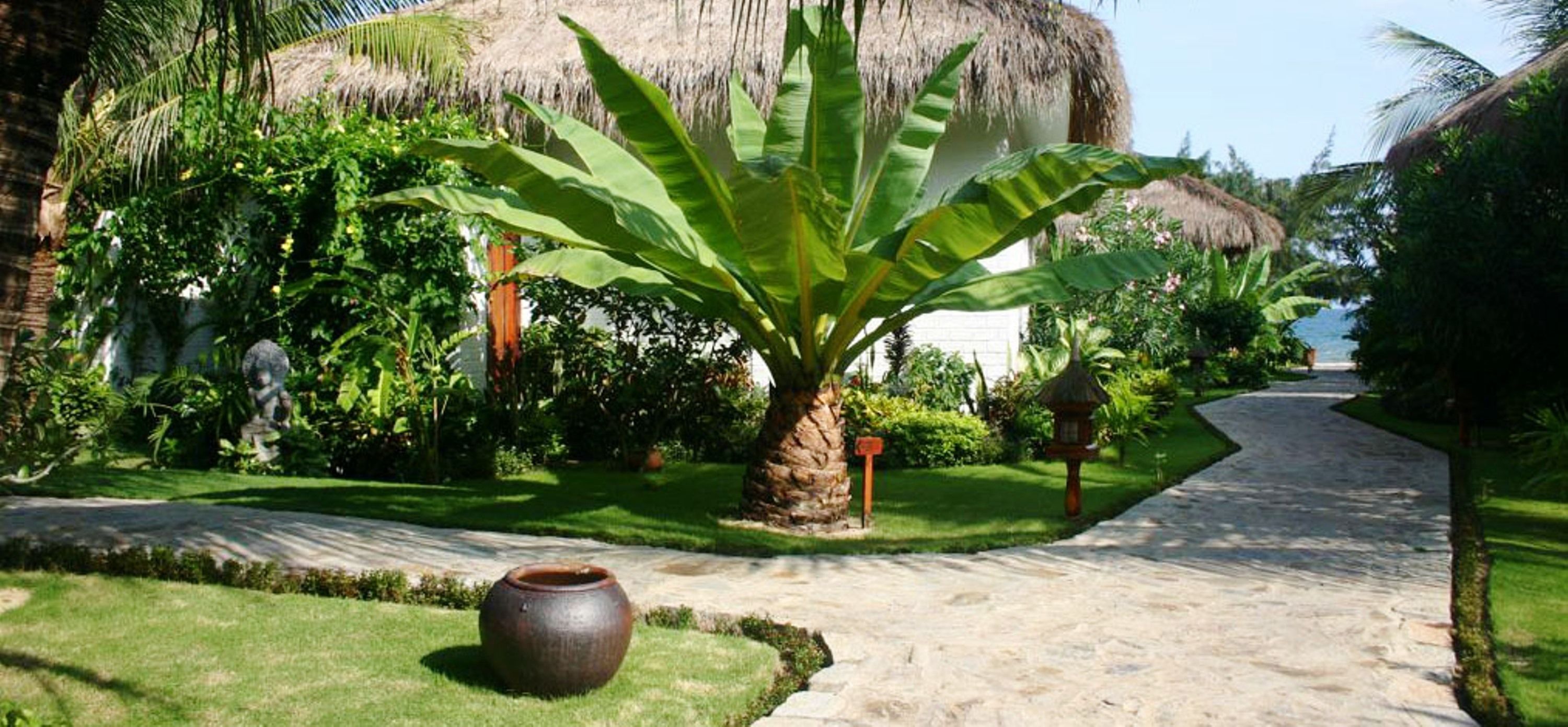 Un sendero conduce a una estructura de techo de paja rodeada de exuberante follaje y una planta de banano grande.