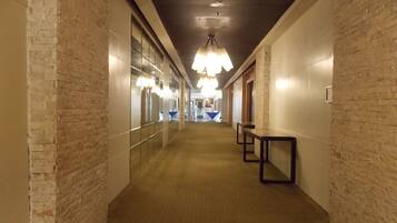 A corridor with brick walls, a carpeted floor, and a hanging light fixture.