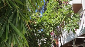 Un sendero lleva a un edificio con un letrero que indica zona de lavado de pies, rodeado de follaje y plantas en macetas.
