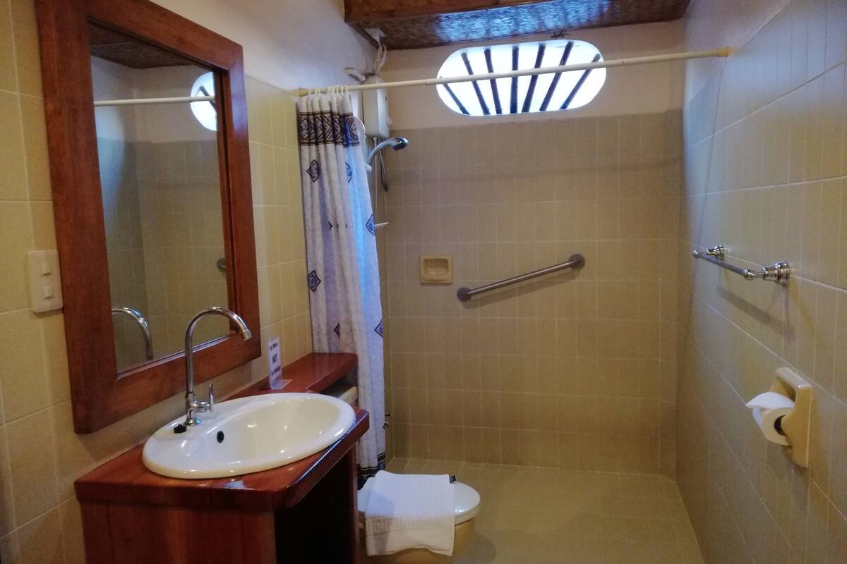 apartment | bathroom | shower, rainfall showerhead, free toiletries, hair dryer