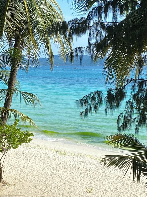 华丽客房, 海景 (Expose to Noise) | 沙滩/海景