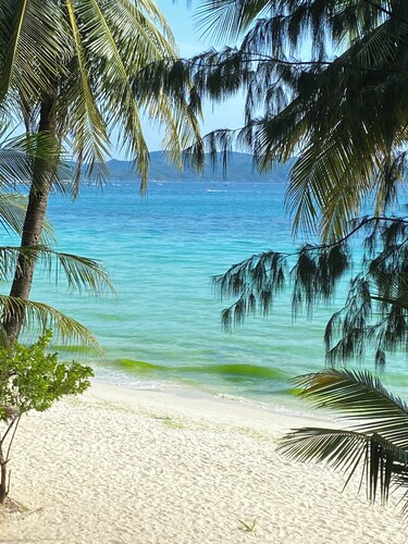 Nigi Nigi Nu Noos “e” Nu Nu Noos