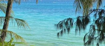 Nigi Nigi Nu Noos “e” Nu Nu Noos