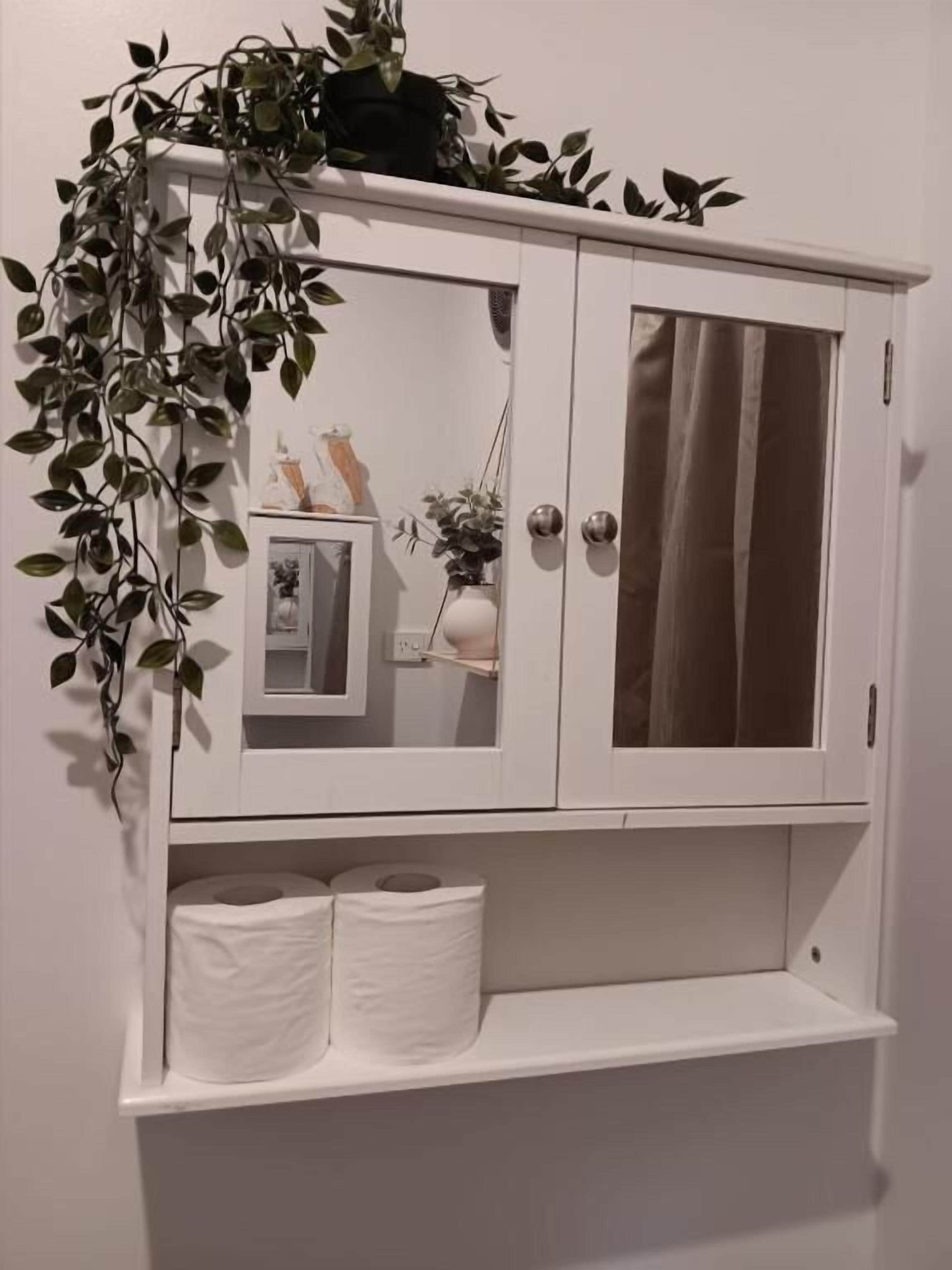 A white cabinet with glass doors, a mirror, and a plant on top.