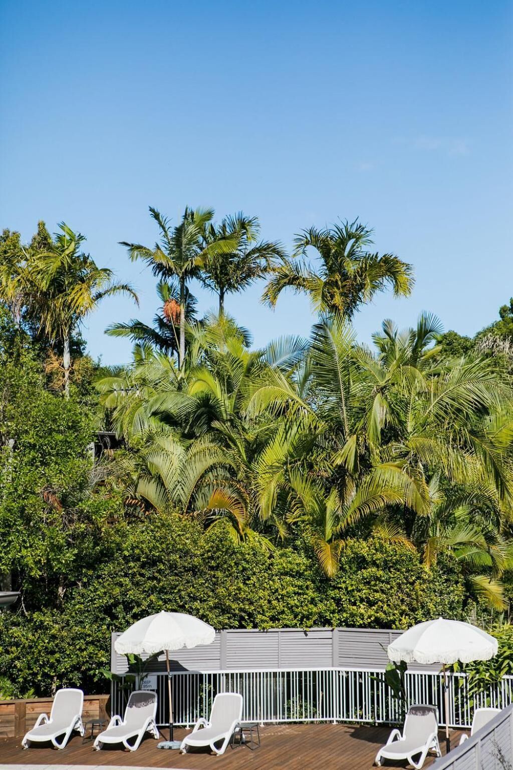 A poolside area with white lounge chairs and umbrellas, surrounded by lush palm trees and dense foliage.