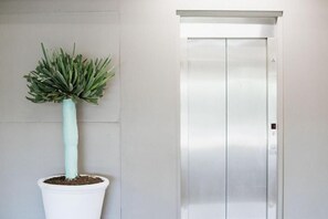 Interior - Noosa Heads Motel (Noosa Heads)