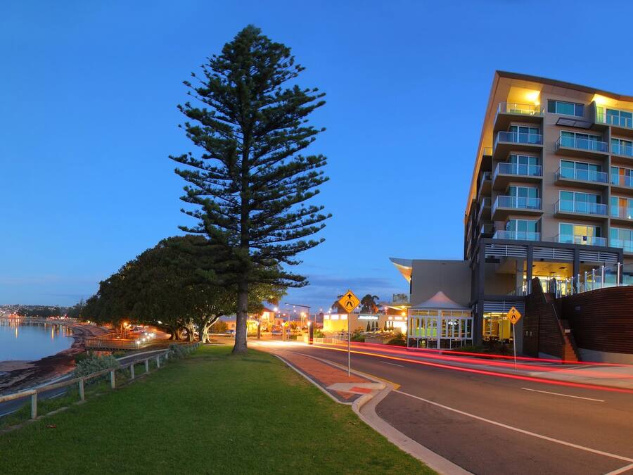 A modern hotel with a large tree in front, a waterfront view, and a well-lit entrance.