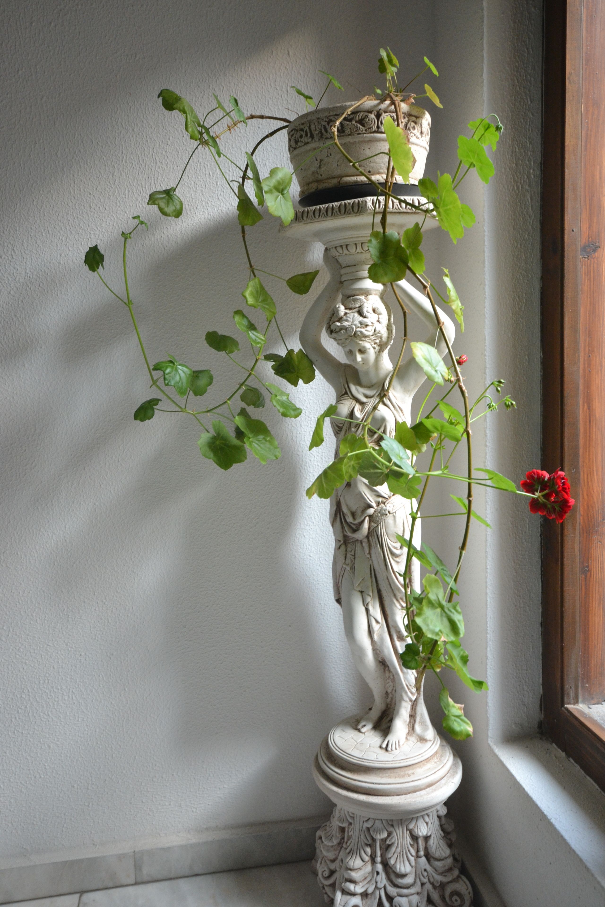 Foto - More Family Hotel