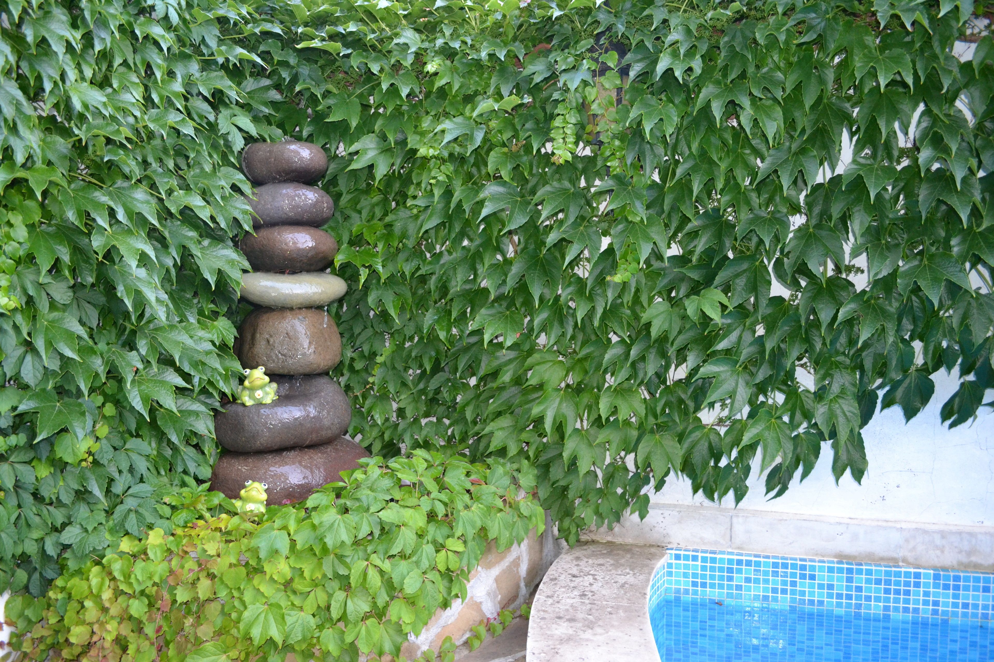 Foto - More Family Hotel