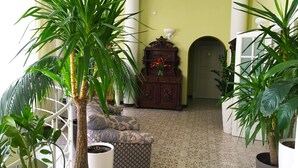 A living room with a patterned sofa, a wooden cabinet, and several potted plants. - Vila Elat (Chisinau)