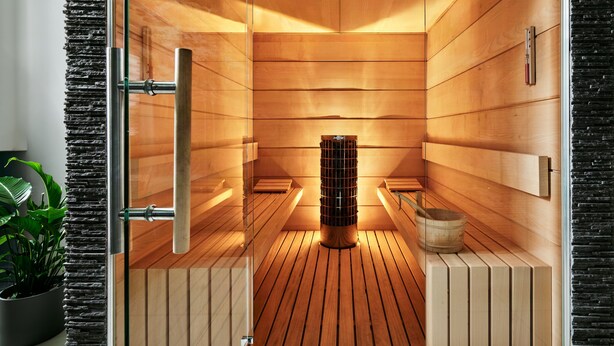 A sauna with wooden walls and benches, a glass door, and a potted plant. - Hotel President (Bielsko-Biala)