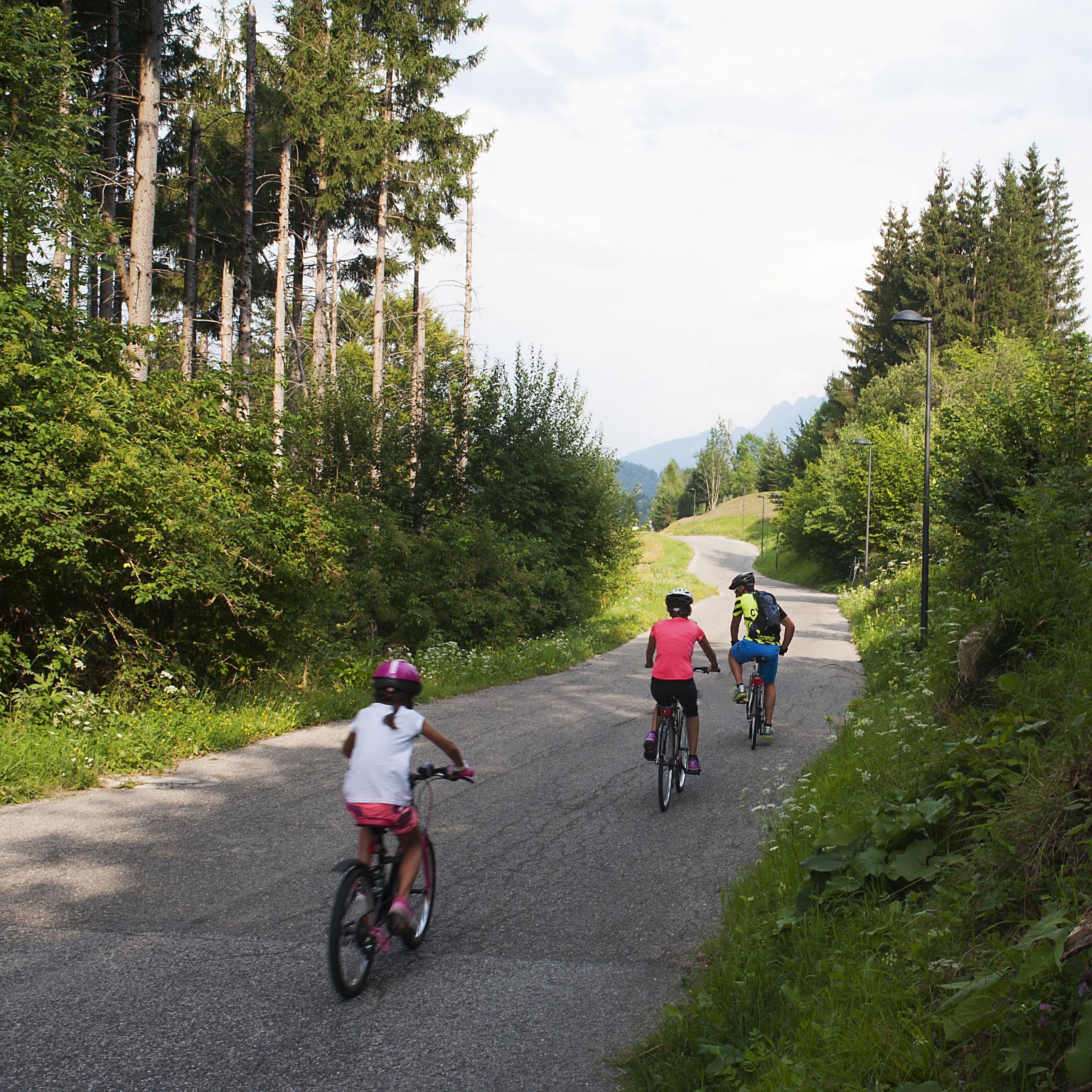 A paved path with cyclists, surrounded by trees and greenery.