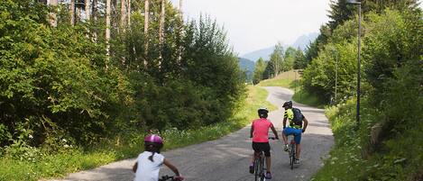 A paved path with cyclists, surrounded by trees and greenery.