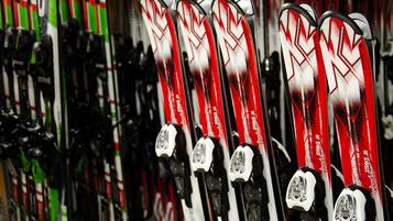 Skis lined up in a store.