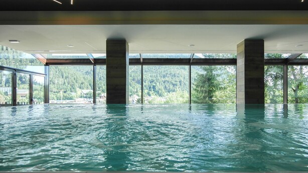 A large indoor swimming pool with clear views of a forested area outside.