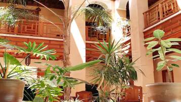 Outdoor pool, open 11:00 AM to 8:00 PM, sun loungers