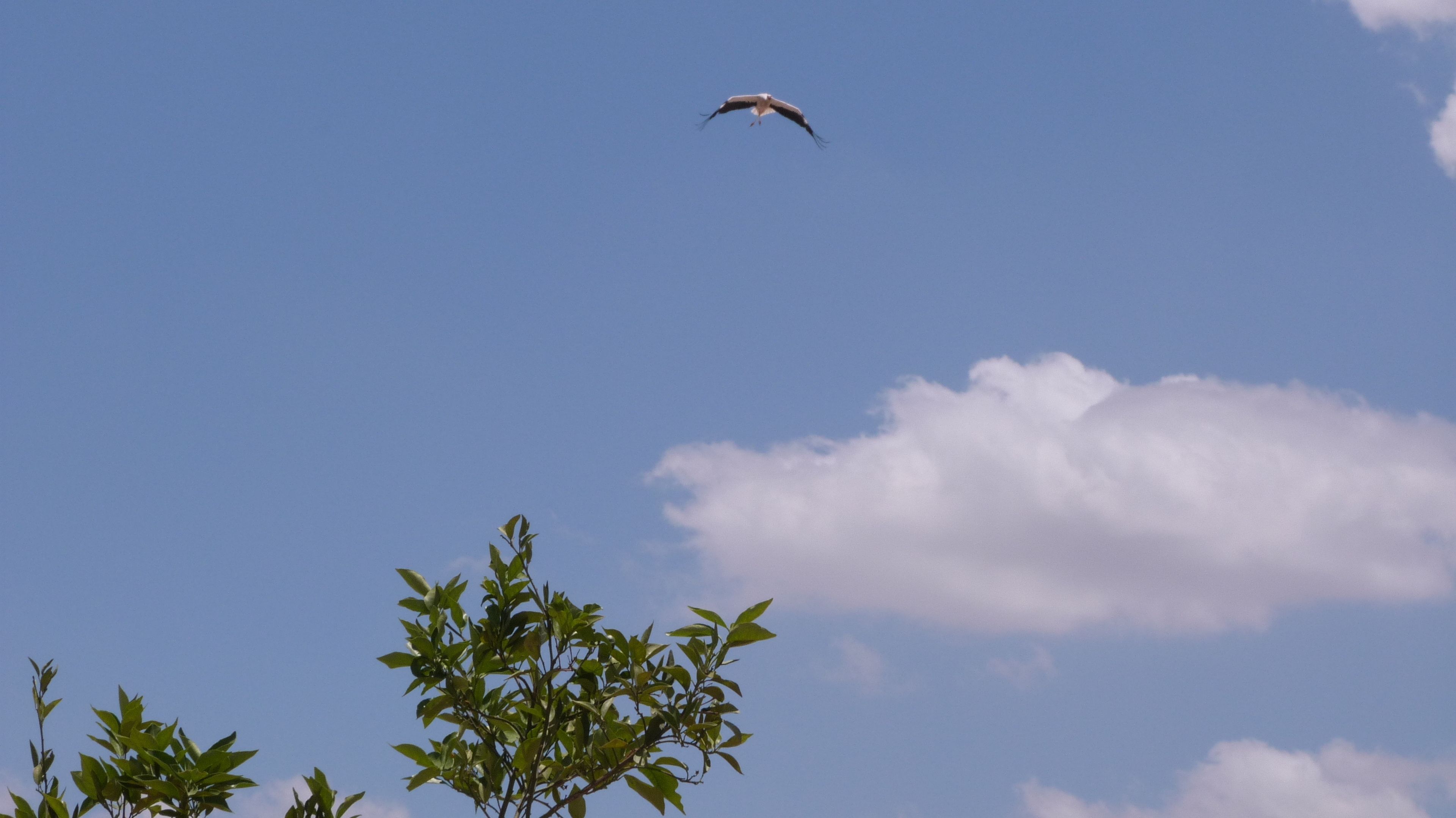 Foto - Riad Al Ksar & Spa