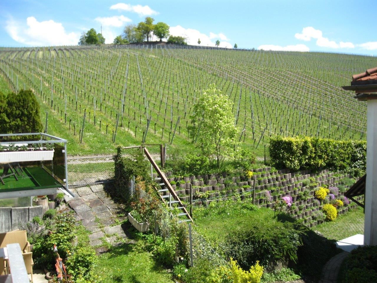 single room, corner | garden