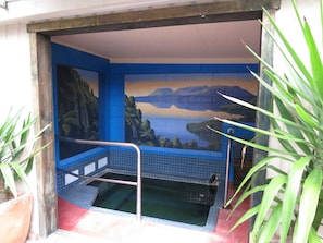 Natural pool - Malfroy Motor Lodge (Rotorua)