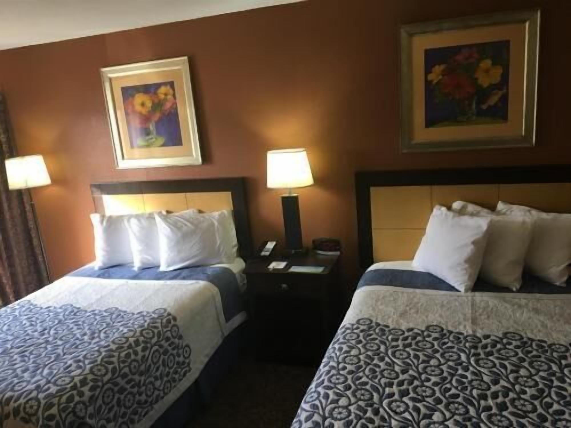 Iron/ironing board, free cribs/infant beds, rollaway beds, free WiFi