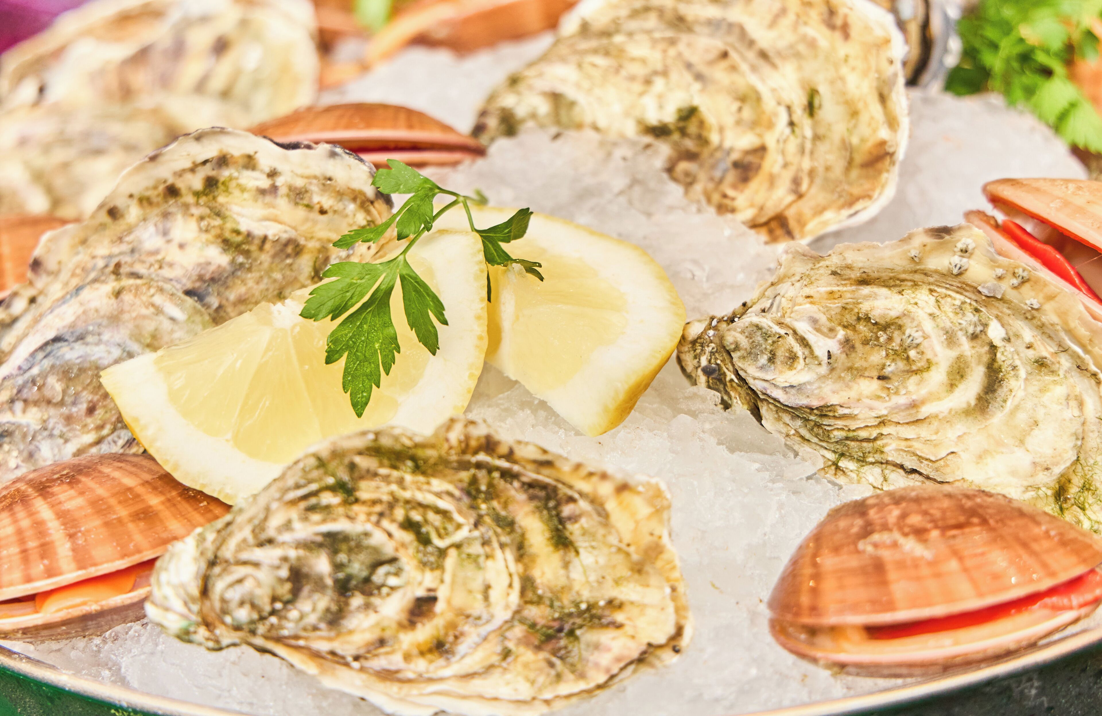 A platter of oysters on ice with lemon wedges and parsley garnish.